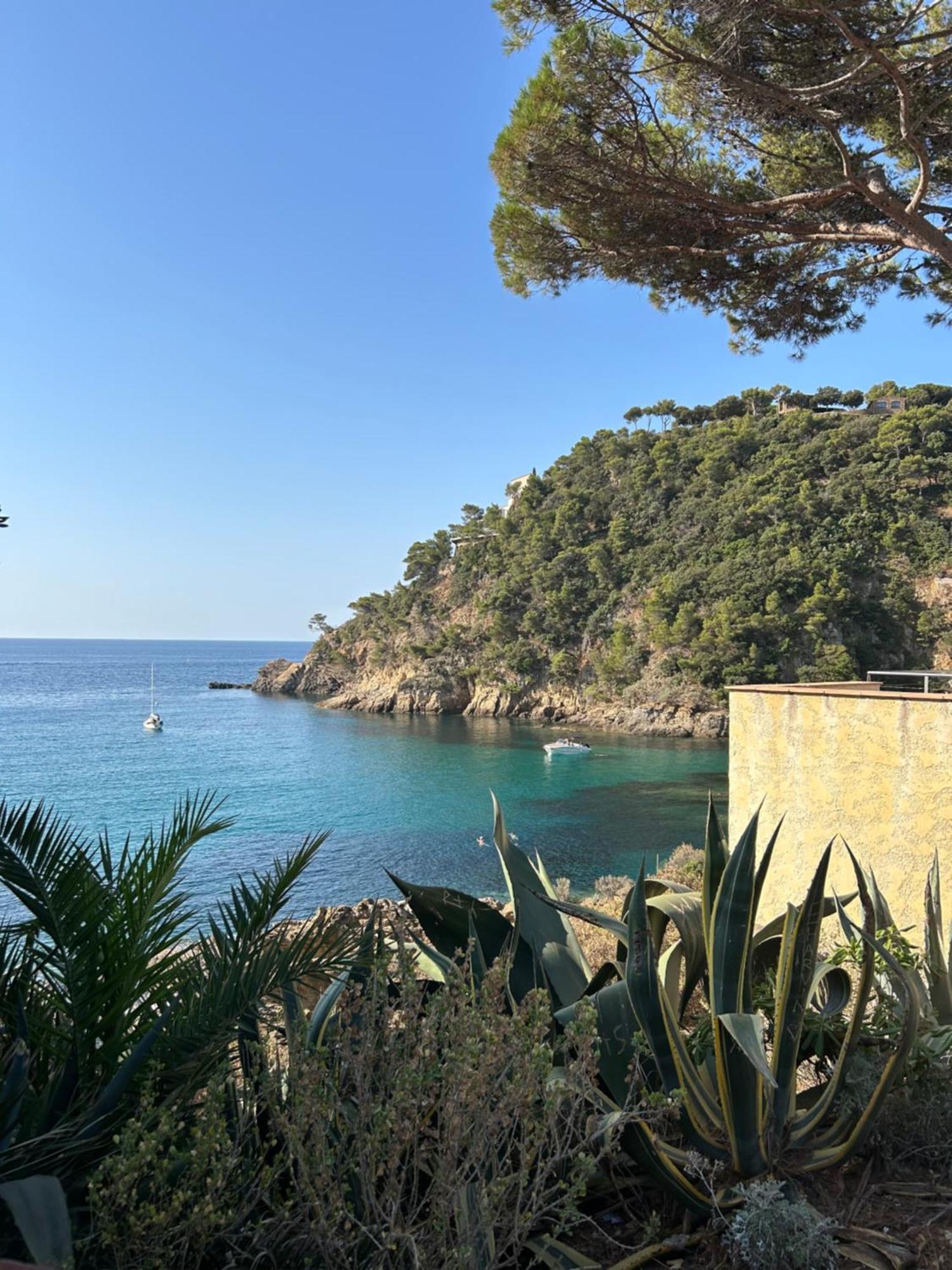 Appartement La Calypso à Cavalaire-sur-Mer Extérieur photo